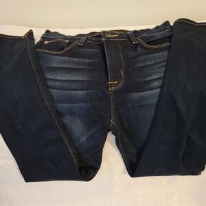 Hudson nico skinny 27